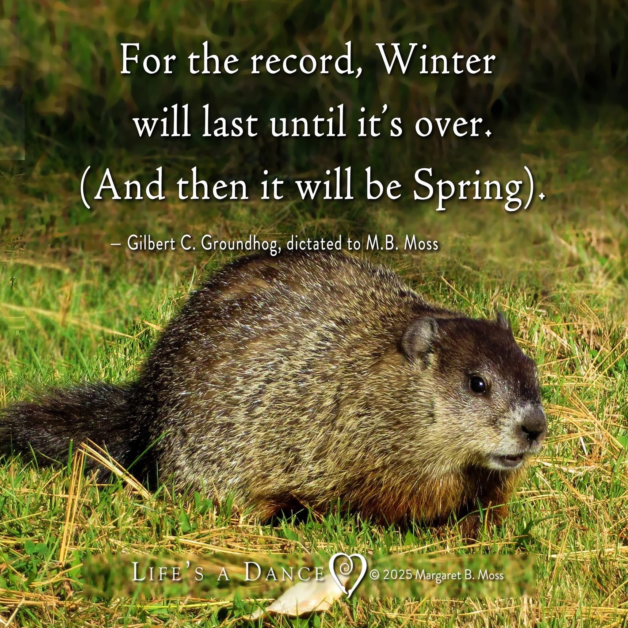 User photo attachment