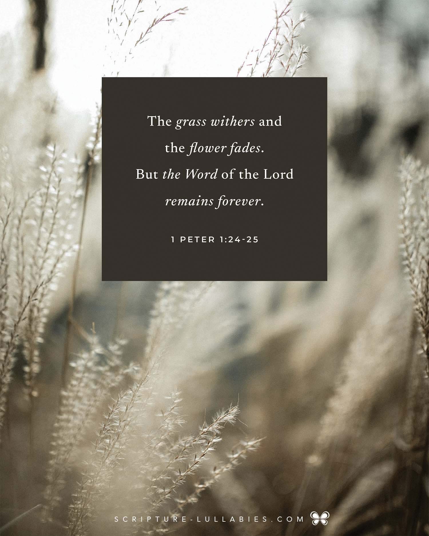 User photo attachment