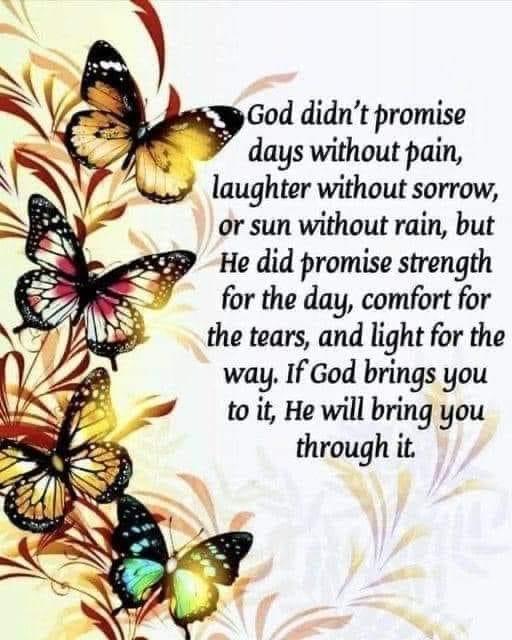 User photo attachment