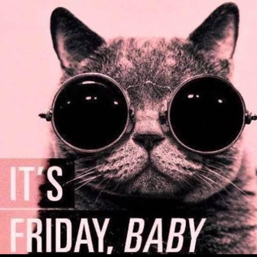 User photo attachment