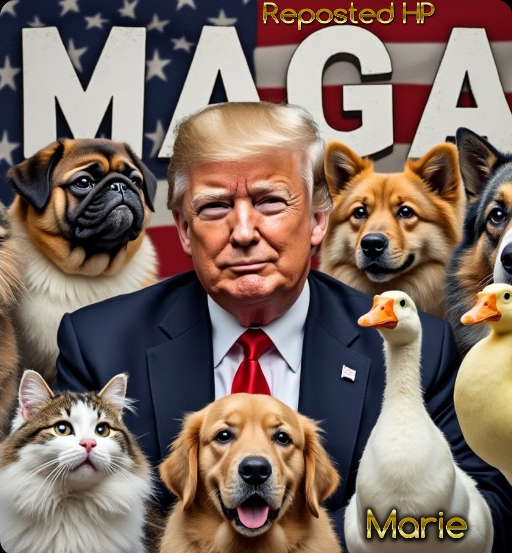 User photo attachment