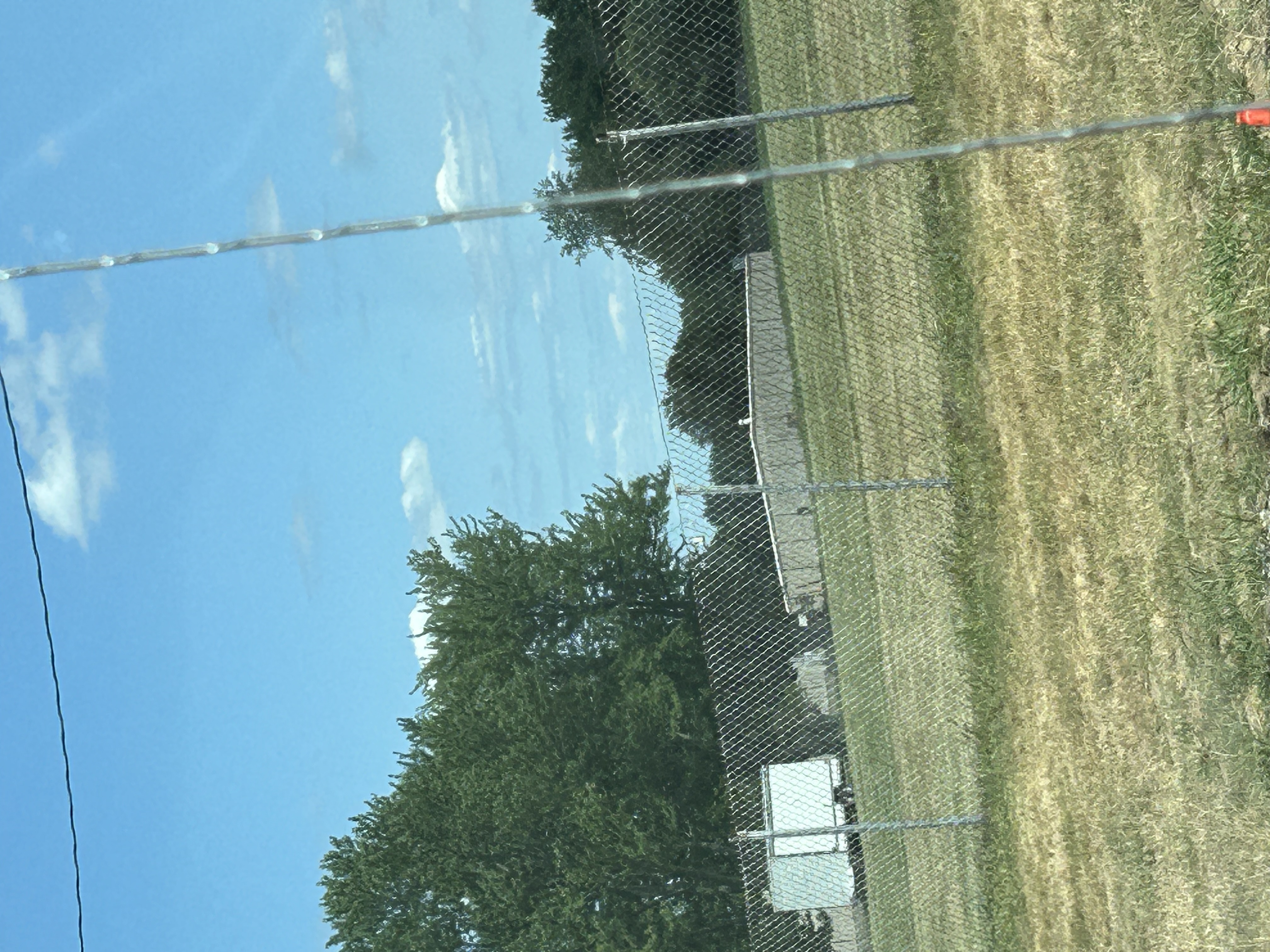 User photo attachment