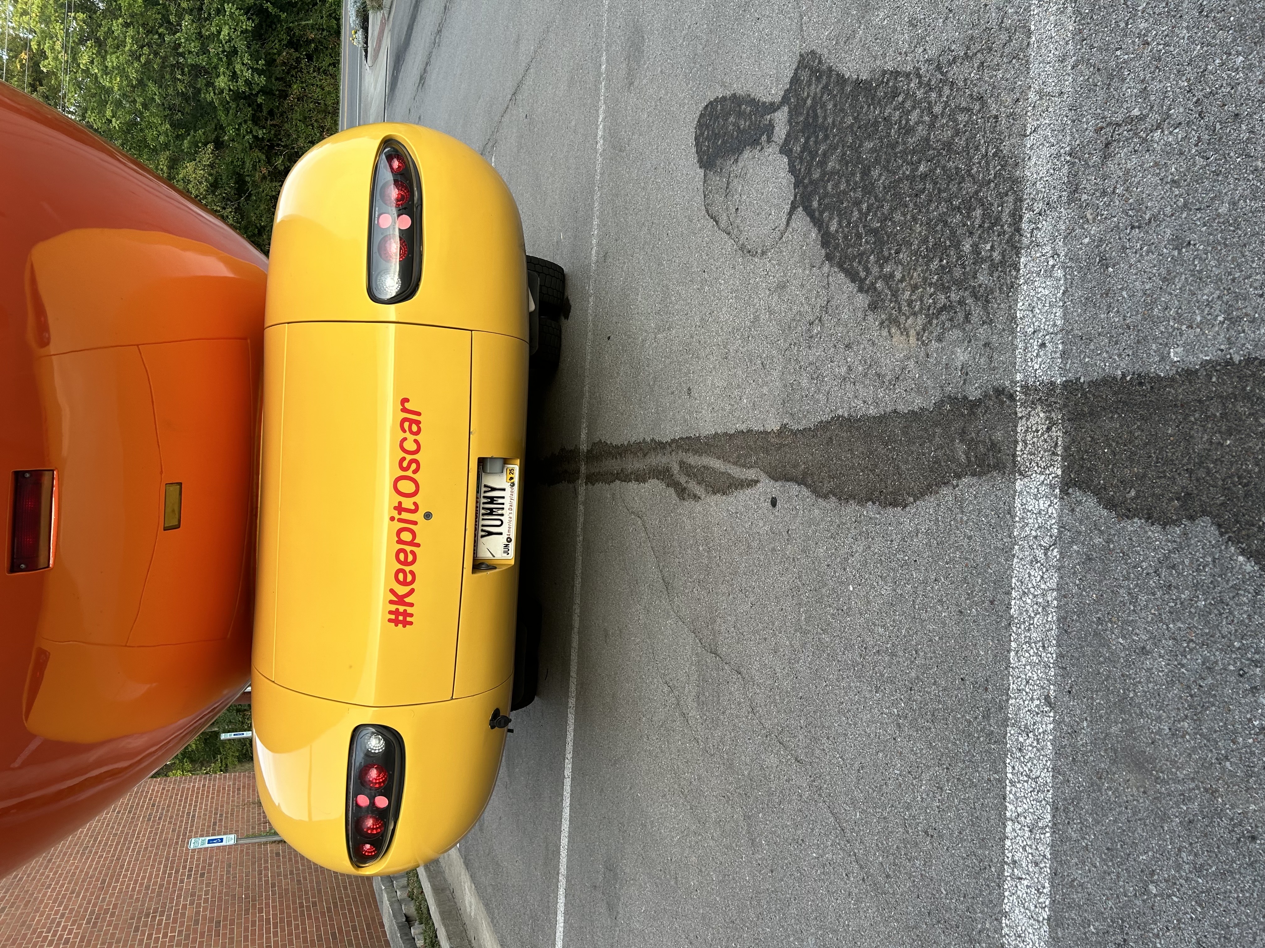 User photo attachment