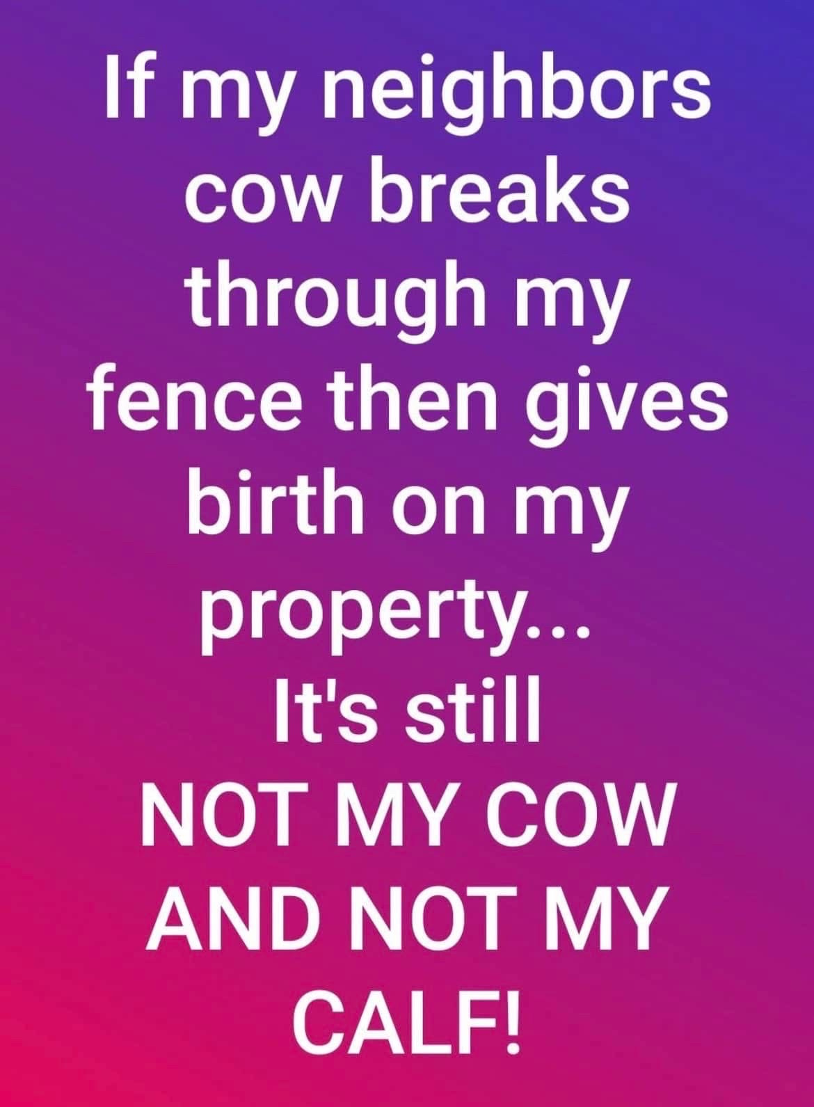 User photo attachment