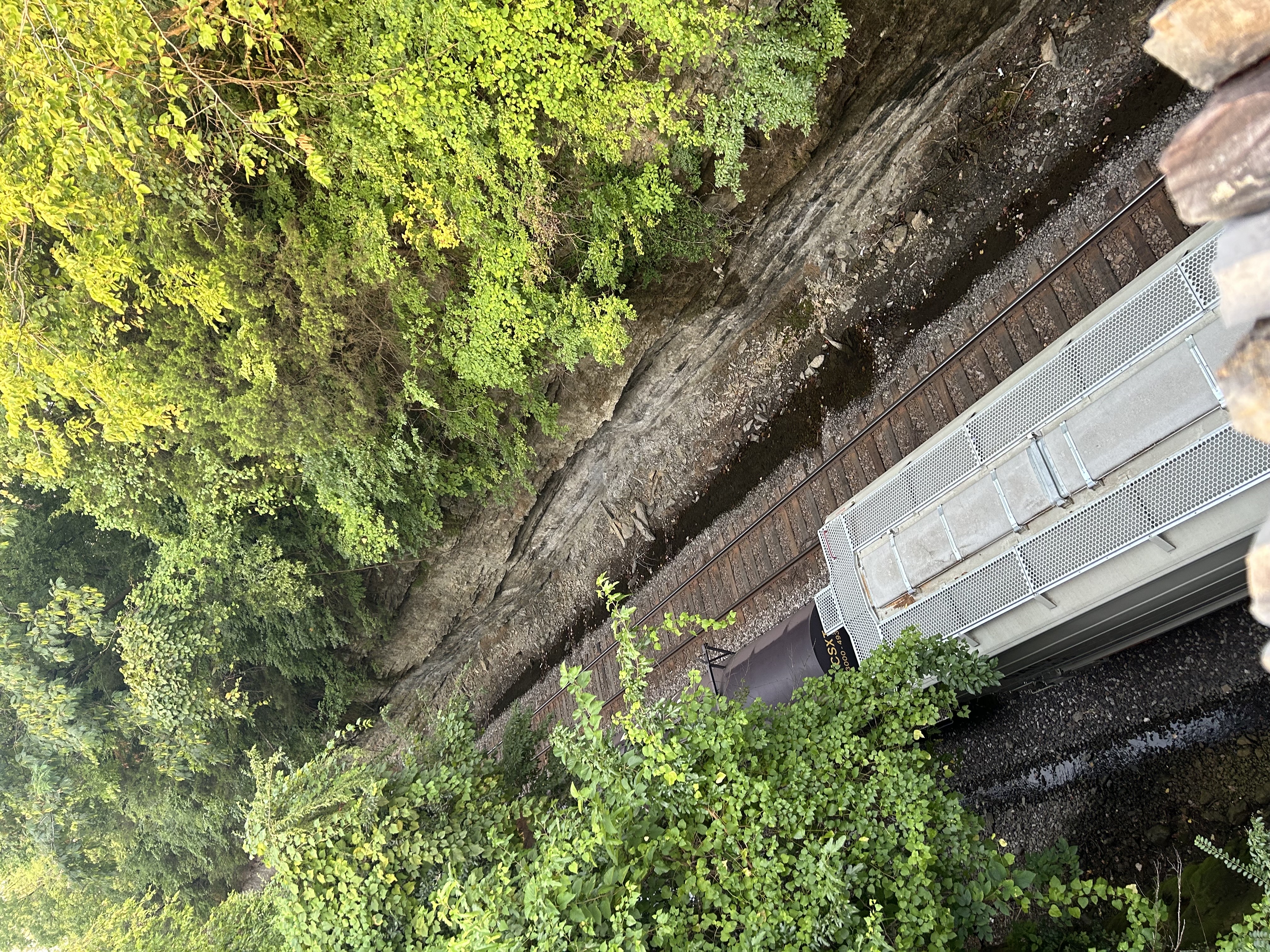 User photo attachment