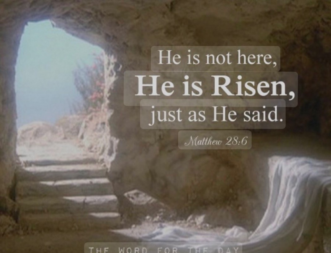 User photo attachment