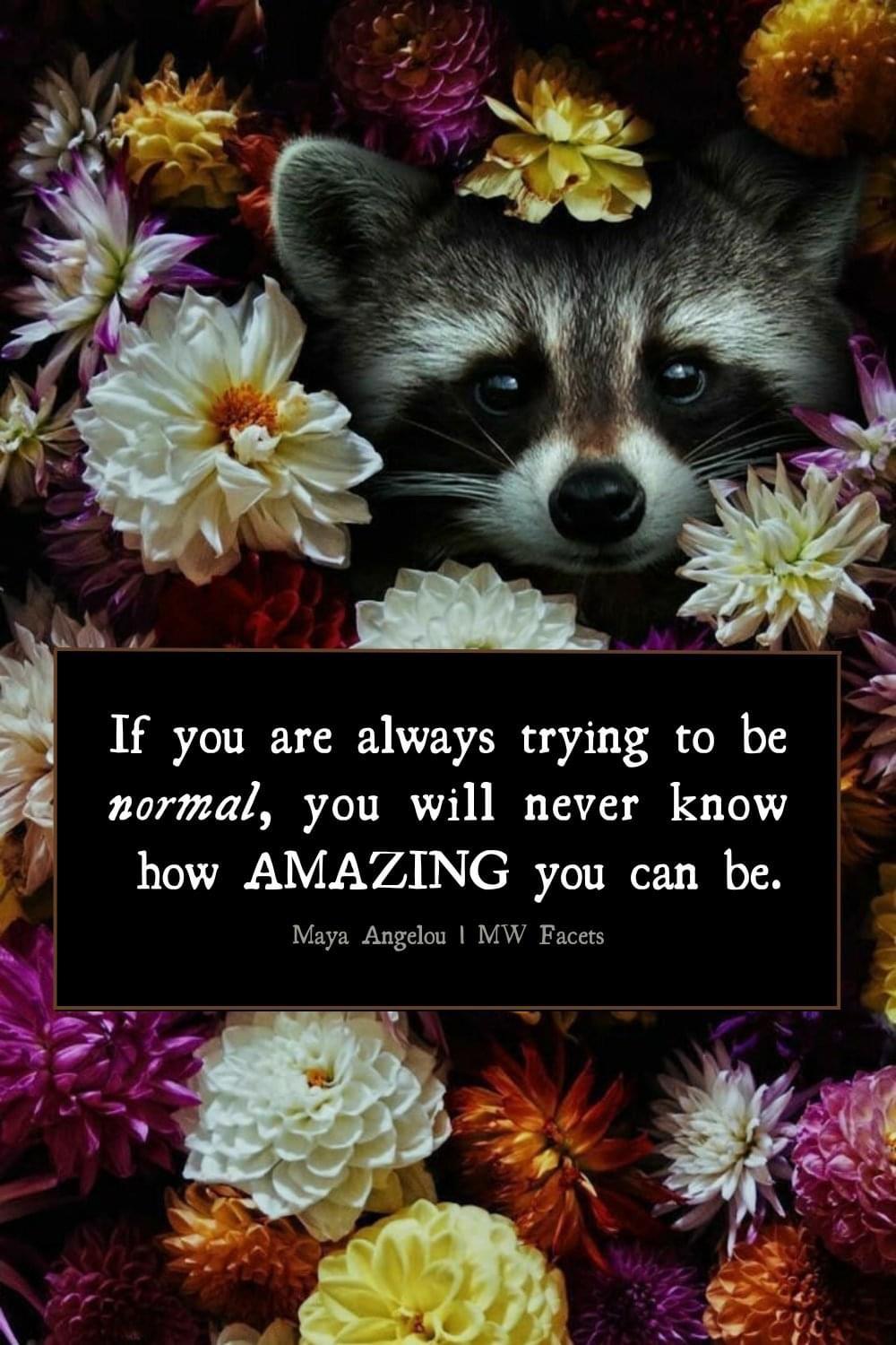 User photo attachment