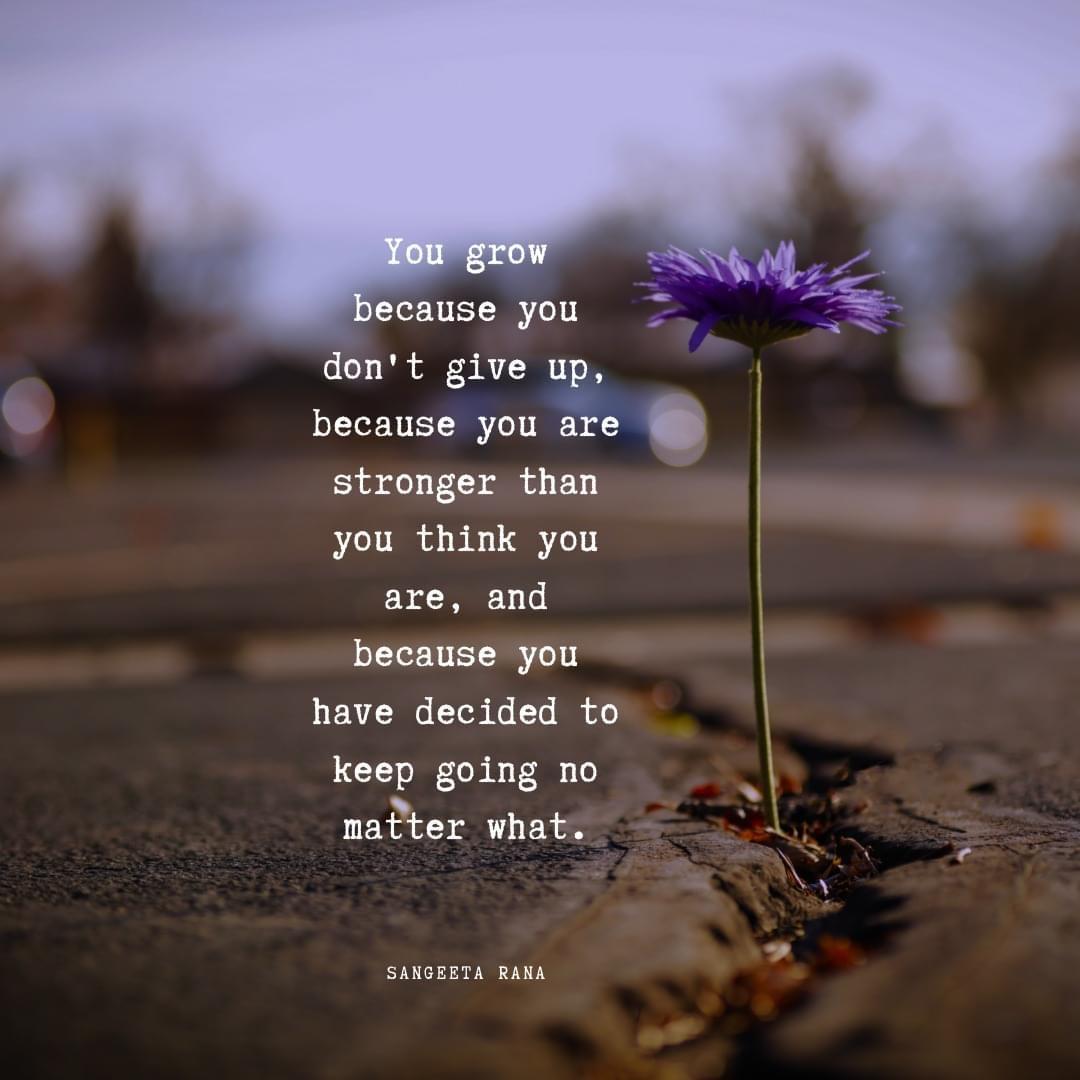 User photo attachment