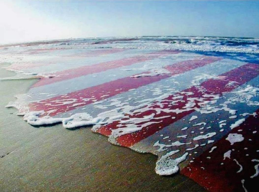 User photo attachment