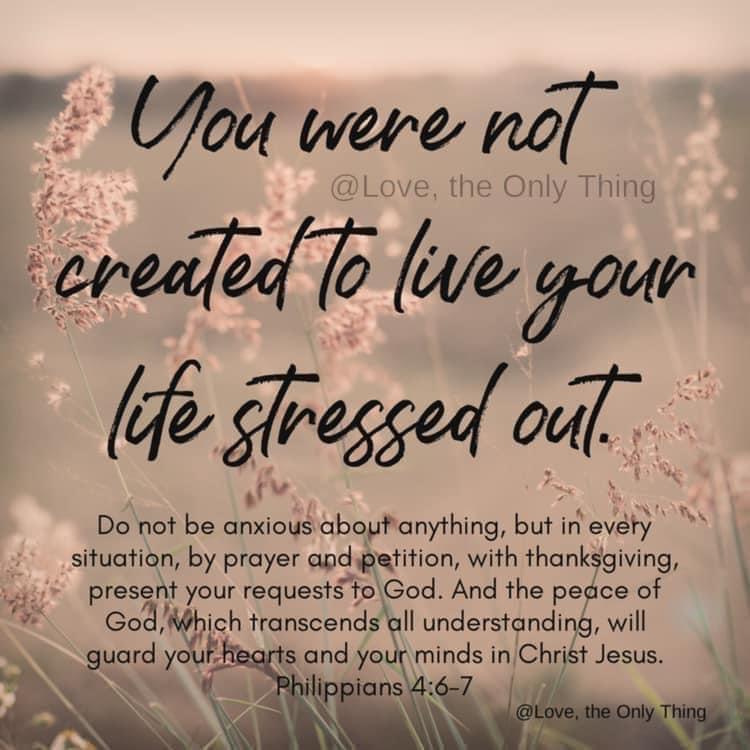 User photo attachment