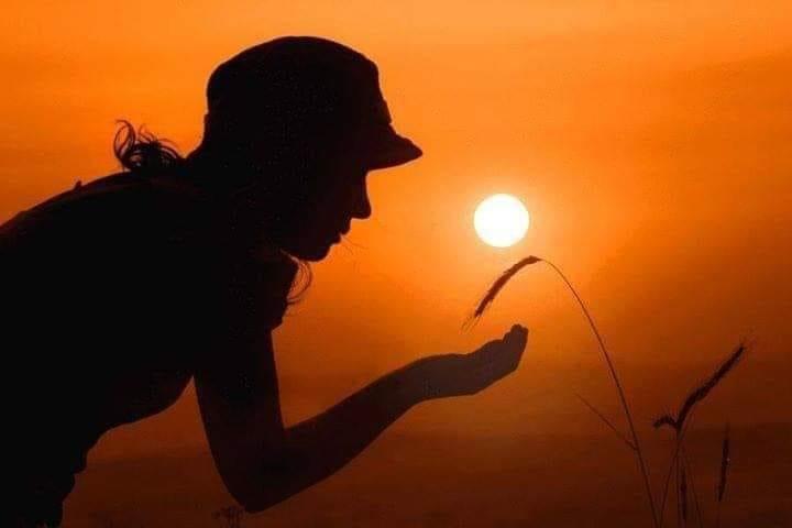 User photo attachment