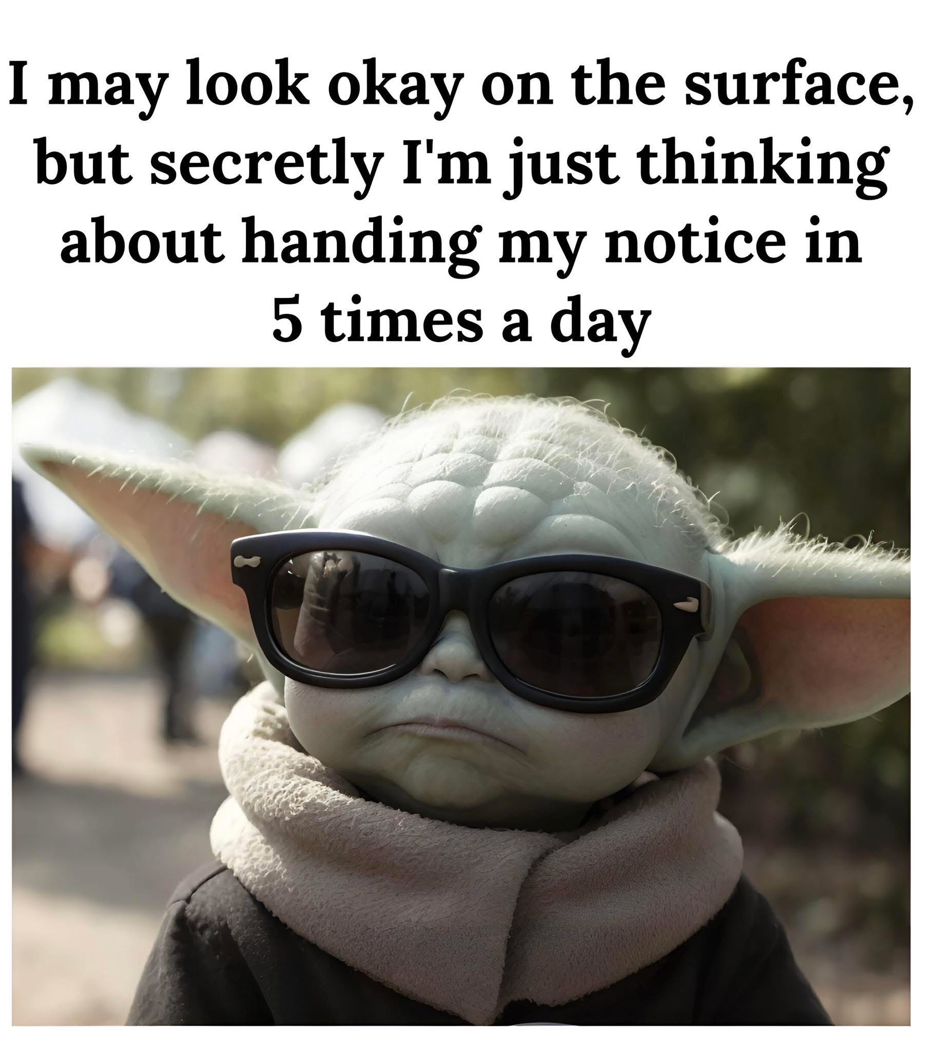 User photo attachment