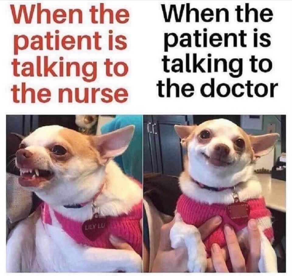 User photo attachment